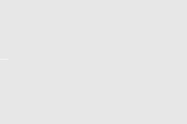 Site using Our Team Showcase plugin