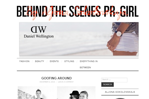 Fashionista theme site design template sample