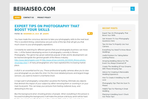 The Bizness theme site design template sample
