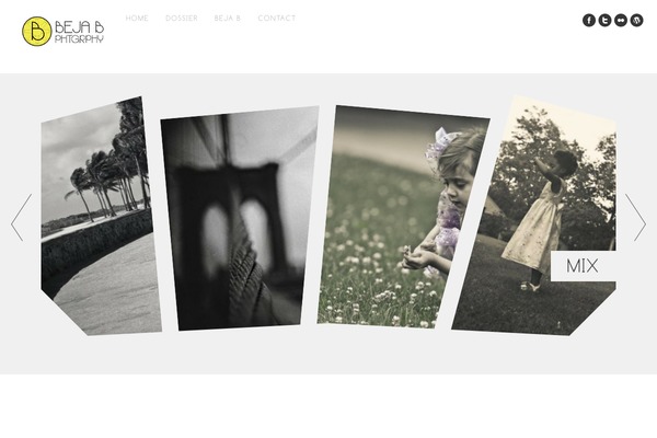 Core theme site design template sample