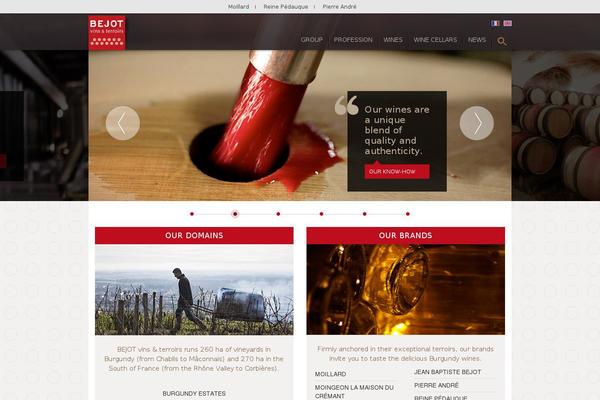 Bejot WordPress theme, websites list used Bejot theme Bejot theme websites examples