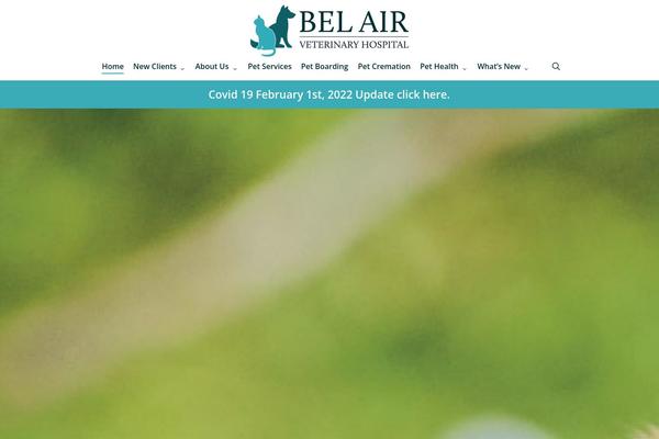 Site using Lifelearn-accessibility plugin