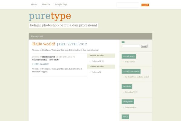 Puretype theme site design template sample