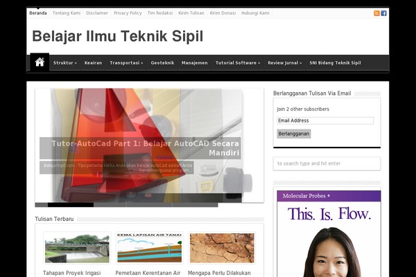 Site using Simple-social-buttons plugin