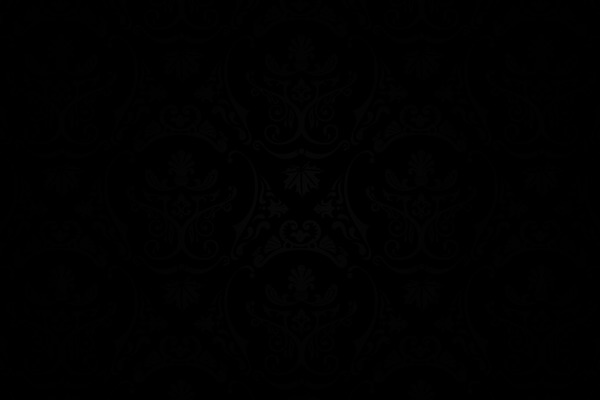 Shuttershot theme site design template sample