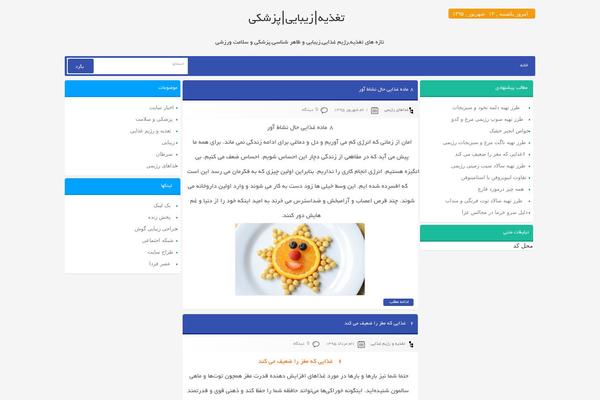 T98-sade theme site design template sample