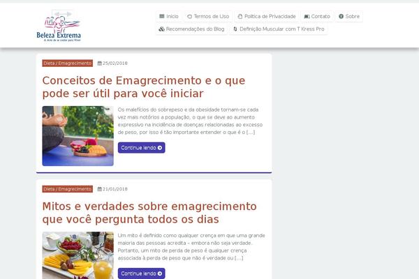 FlyMag theme site design template sample
