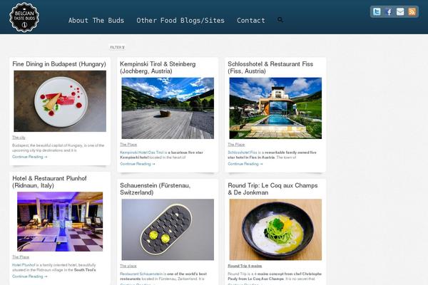 Shaken Grid Premium theme site design template sample