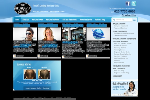 belgravia WordPress theme, websites list used belgravia theme belgravia theme websites examples