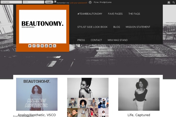 believebeautonomy.com site used Finepro