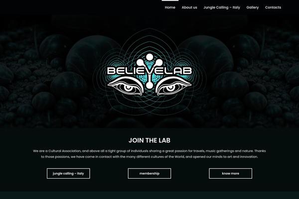 Site using Custom-forms plugin
