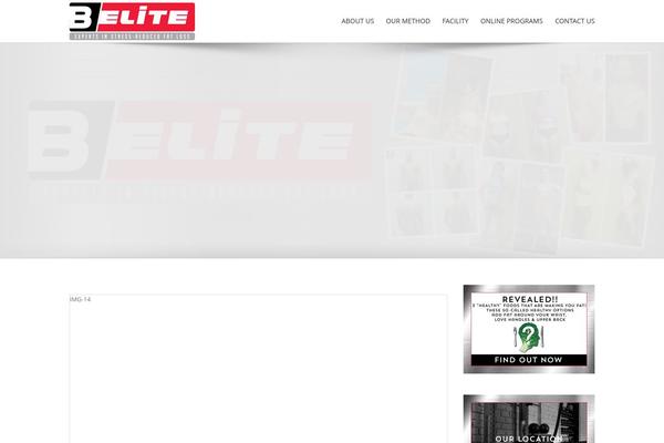 Site using Wgl-extensions plugin