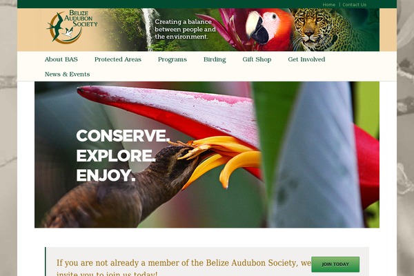 Site using Essential-addons-for-elementor-lite plugin
