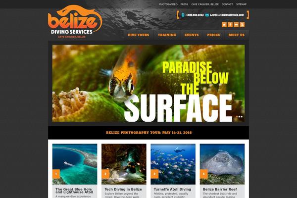 belizedivingservices.com site used Bds