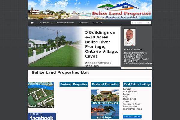OpenDoor theme site design template sample