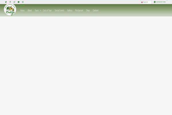 KLEO theme site design template sample