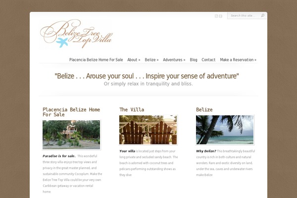 Chameleon-1 theme websites examples