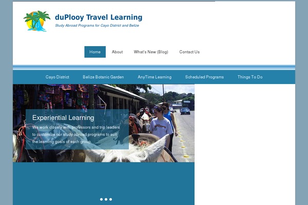 Site using Alewb Image Widget plugin