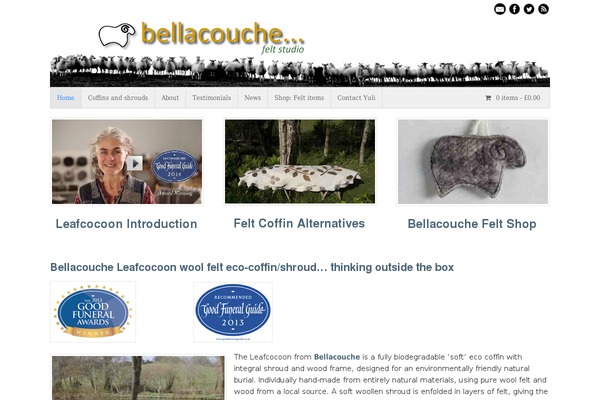 Canvas theme site design template sample