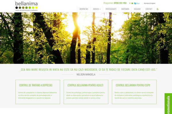 Ammo theme site design template sample