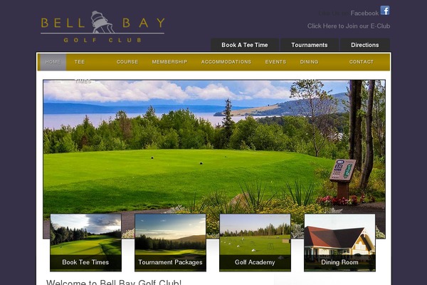30mickelsons WordPress theme, websites list used 30mickelsons theme 30mickelsons theme websites examples