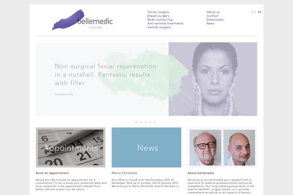 Ari theme site design template sample