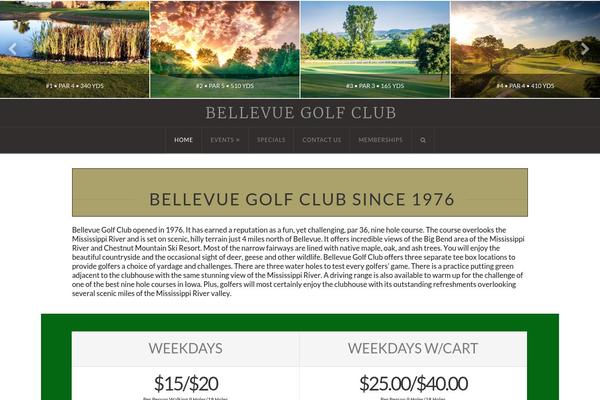 X Child theme site design template sample