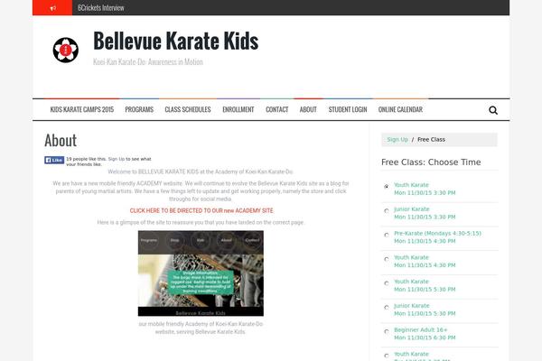 FlyMag theme site design template sample