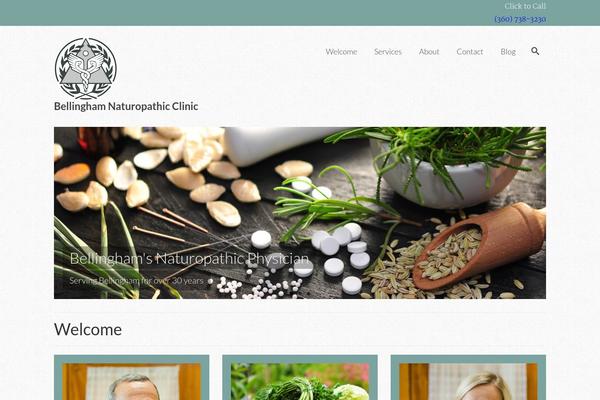 Virtue Premium theme site design template sample
