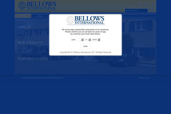 Site using Ari-fancy-lightbox plugin