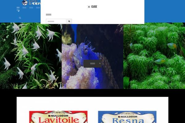 The-thor theme site design template sample