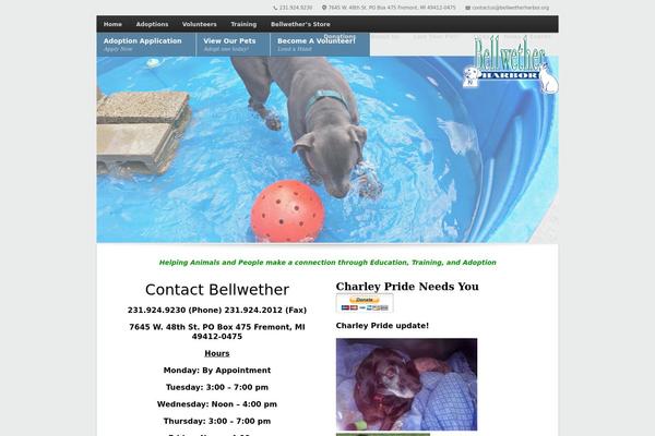 Site using Awesome Weather Widget plugin