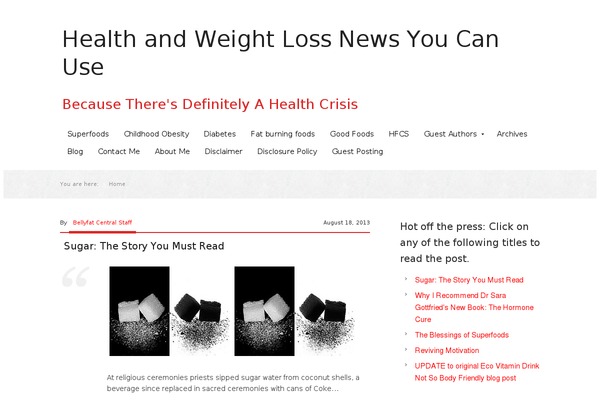 Beautiful Pro Theme theme site design template sample