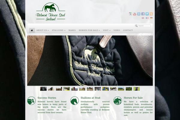 PageLines theme site design template sample
