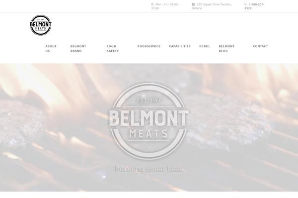 Finanza theme site design template sample