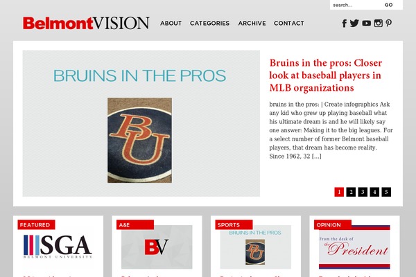 vision2014 theme websites examples
