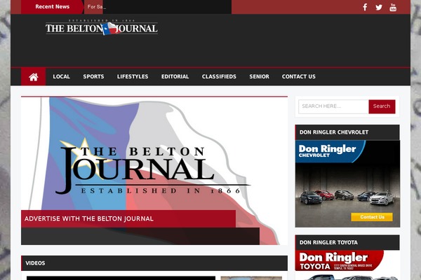 Bzine theme site design template sample