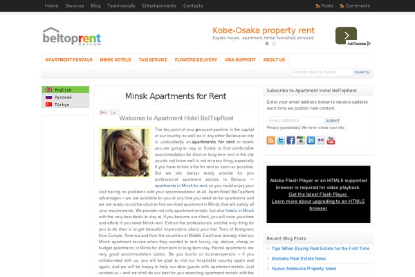 WP-Clear theme site design template sample