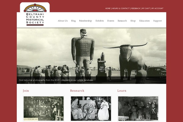 Dandelion theme site design template sample