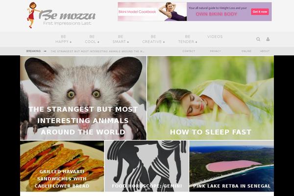 Valenti theme site design template sample