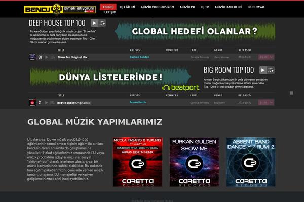 bendjolmakistiyorum.com site used V12