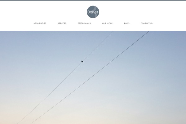 Leviate theme site design template sample