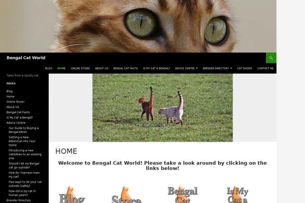 Site using Ecwid Shopping Cart plugin