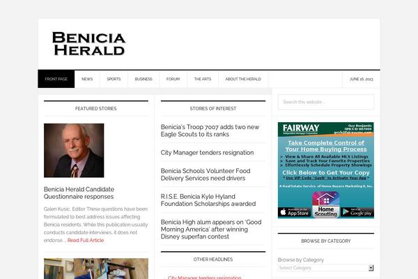News Pro theme site design template sample