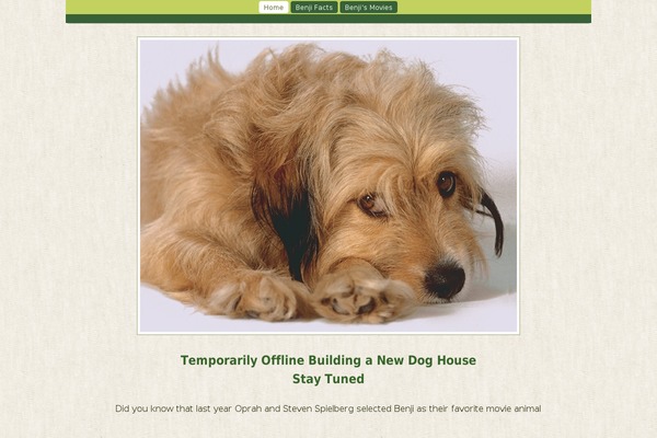 Builder-Foundation-Bonsai theme websites examples