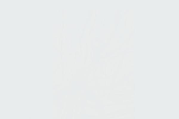 Gt3-wp-marvel theme site design template sample