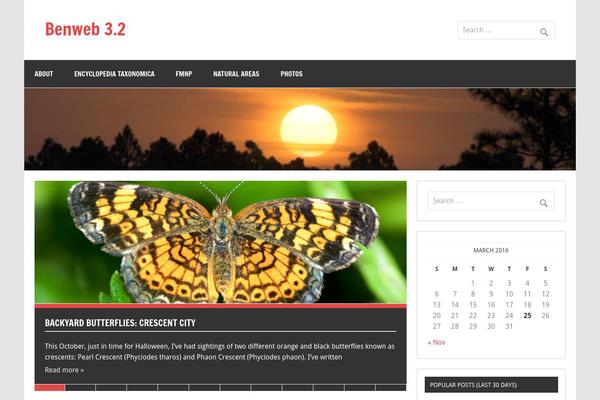 Dynamic News Lite theme site design template sample