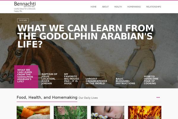 LiteMag theme site design template sample