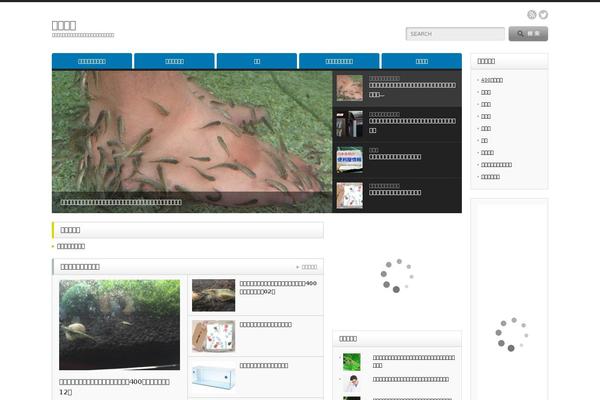 Site using Boxers and Swipers plugin