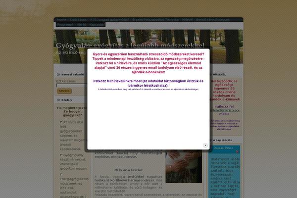Site using WP Super Popup plugin